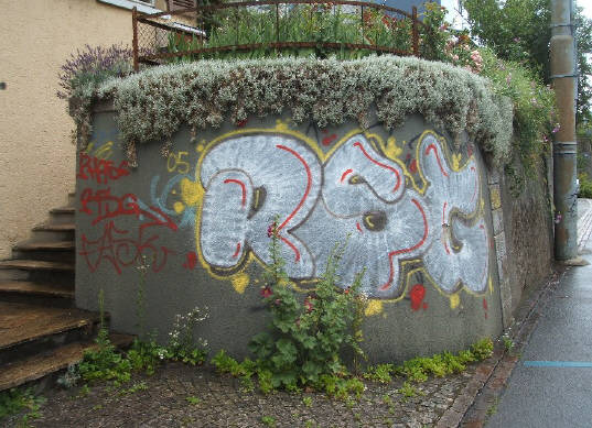 RSG graffiti hnggerstrasse zrich wipkingen