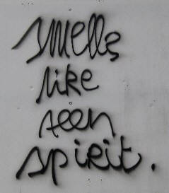 SMELLS LIKE TEEN SPIRIT graffiti zurich switzerland