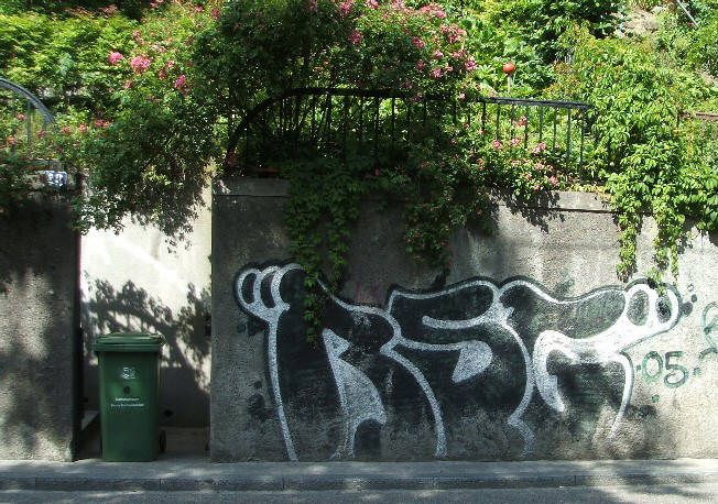 RSG graffiti zürich