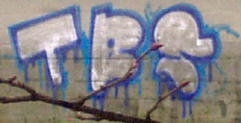 tbs graffiti zrich
